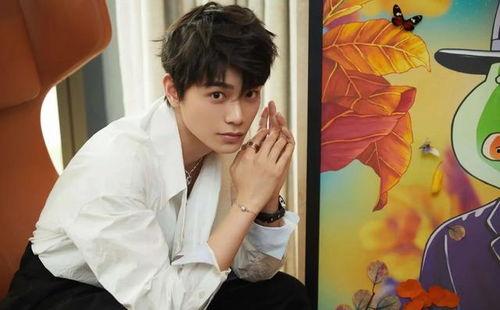 圈内人爆料丁禹兮,圈内爆料揭示明星背后的故事 第2张 圈内人爆料丁禹兮,圈内爆料揭示明星背后的故事 第2张